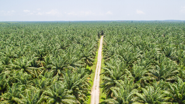 Agriculture Investment (2)