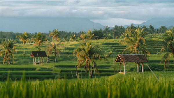 Agriculture Investment (3)