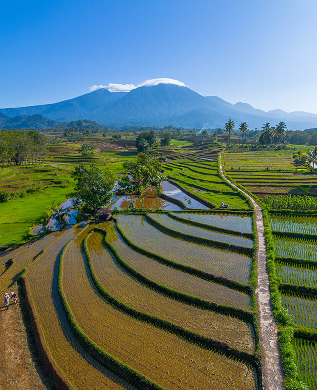 Agriculture Investment(1)