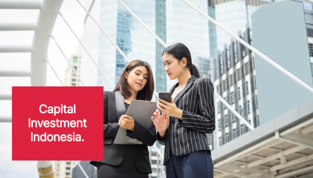 Top Investment Opportunities in Indonesia for Global Investors(1)