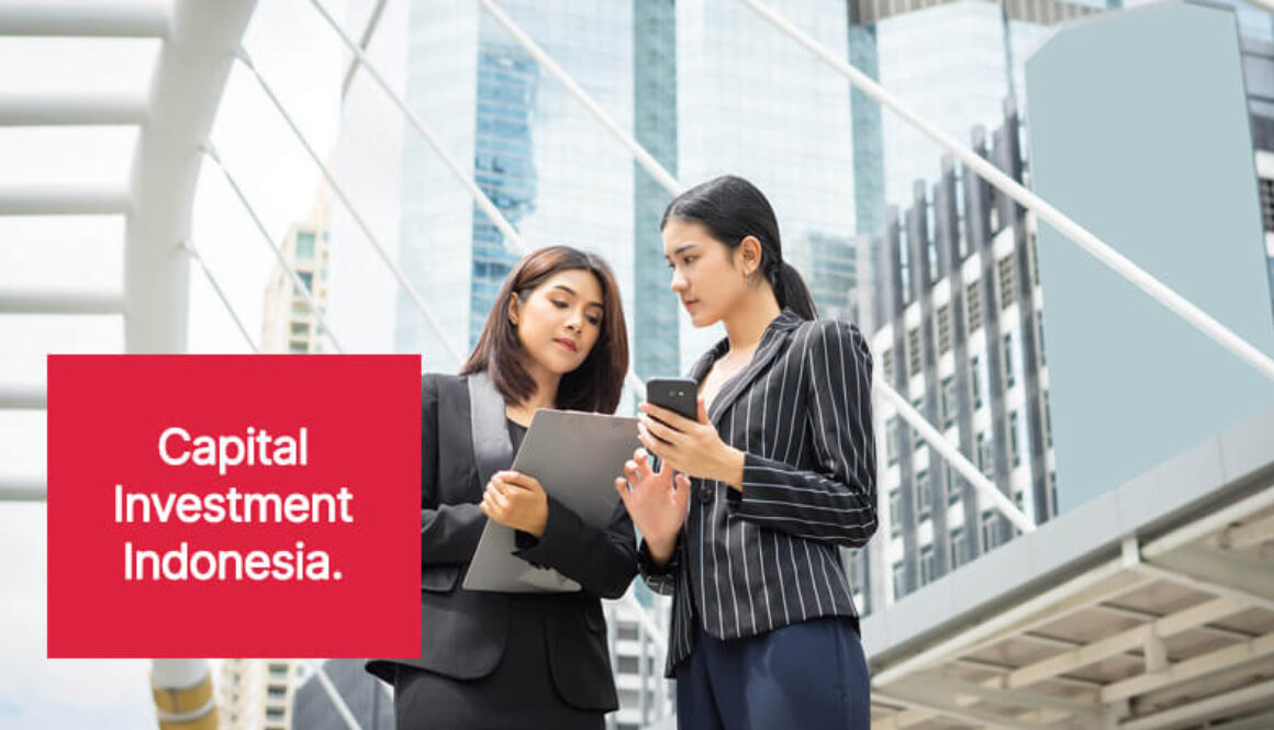 Top Investment Opportunities in Indonesia for Global Investors(1)
