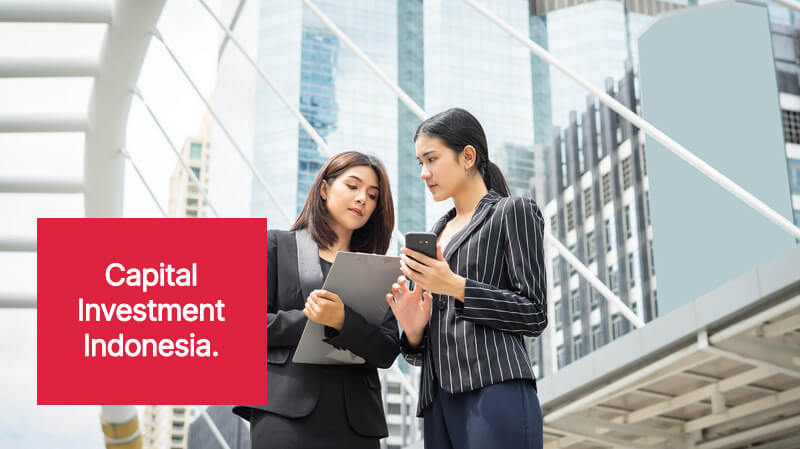 Top Investment Opportunities in Indonesia for Global Investors(1)